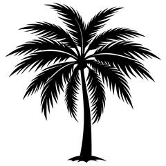 plam tree silhouette vector art illustration
