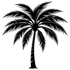 plam tree silhouette vector art illustration