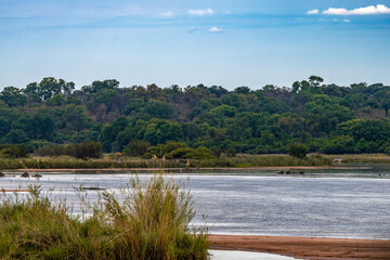 Landscape on the banks of the Okavango River in northern Namibia