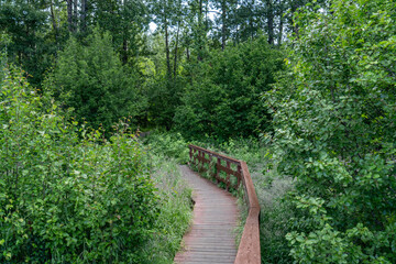 Fototapeta premium Potter Marsh Wildlife Viewing Boardwalk, Anchorage, Alaska