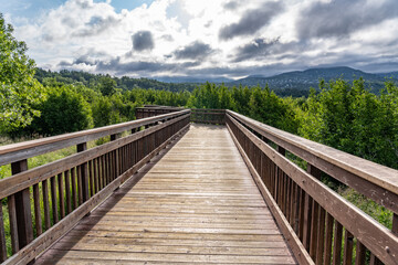Fototapeta premium Potter Marsh Wildlife Viewing Boardwalk, Anchorage, Alaska