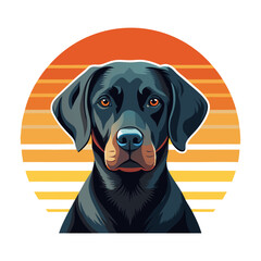 a dog is looking at the sunset in the background