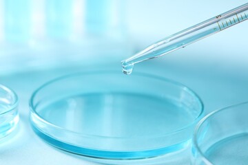 Dripping liquid from pipette into petri dish on blurred background, closeup. Laboratory analysis