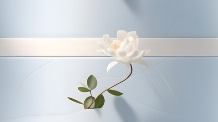 Stylish minimal scene with a podium and Camellia japonica flower pattern in soft pastel blue and white, designed for social media and cosmetic product promotions