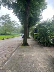 View of pavement along road near park