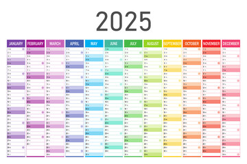 Calendar planner for 2025. Colorful wall calendar in English on a white background. 