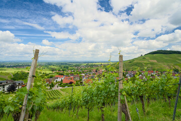 Aerial view of Neuweier wine village near Baden Baden, showcasing vineyards and landscape on a sunny day