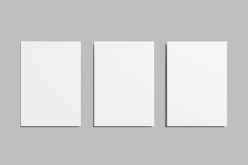 A4 Flayer Blank Mockup