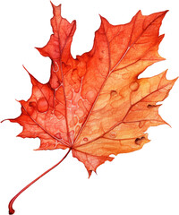 Obraz premium dry leaf in fall autumn leaves weather warm picnic vacation in park natural tree environment sadness aesthetic holidays oak golden outdoor red watercolor cilpart