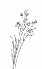 Obraz premium A simple line drawing of a bouquet of tiny wildflowers tattoo design white background minimalistic thin lines no color no shadows white background simple logo style white background 
