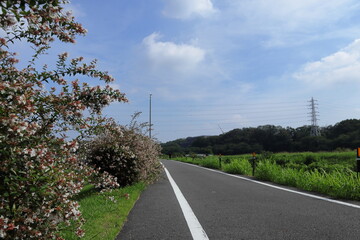 埼玉の風景