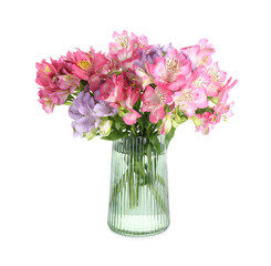 Beautiful alstroemeria flowers in vase isolated on white