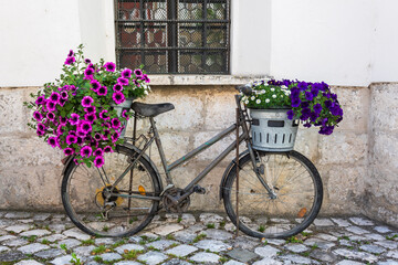 altes Fahrrad mit Blumenschmuck in Abensberg