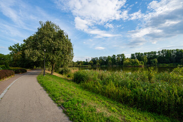 Staw Maroko - jezioro na osiedlu tysiąsclecia - Katowice © BMH-Production
