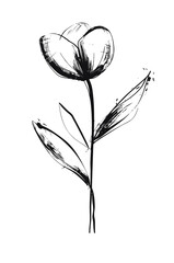 Vector illustration of hand drawn wreaths. Cute doodle floral	