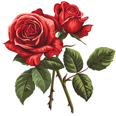 Fototapeta premium Dual Rose Vectors Isolated on Transparent Background
