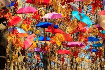 Multicolored umbrellas on the autumn park. Colorful umbrellas hanging among trees in the fall