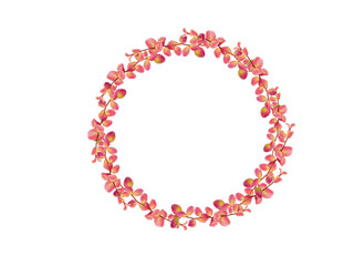 Lavender bouquet, branches, wreath of barberry pink and orange for deciration