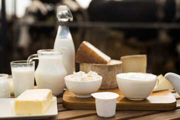 Milk, cottage cheese, cream, cheese on the table against the background of cows
