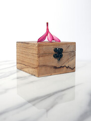 Flower and box white marble background