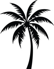 Palm tree silhouette