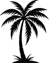 Obraz premium Palm tree silhouette