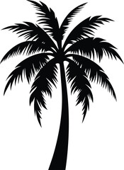 Palm tree silhouette