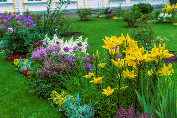 A vibrant flower bed bursts with color, featuring yellow lilies in the foreground, a variety of purple, white, and pink blossoms in the middle ground, and a verdant lawn in the background.