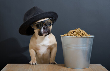 A bulldog dog with a funny dark face sits in a movie posing with 3d glasses, next to a metal bucket filled with food.