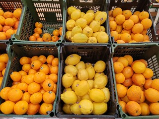Fresh oranges and lemons on market display