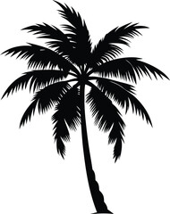 Palm tree silhouette