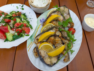 Grilled steaks of sturgeon on plate and salad of fresh vegetables