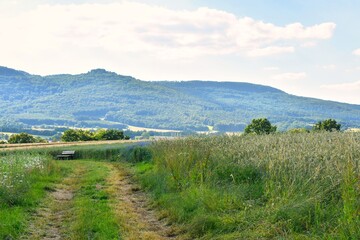 Germany Hesse Poppy fields and landscape in summer 2024