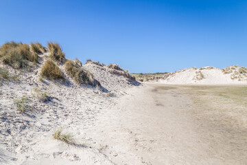 Landscape with sand dunes atthe wadden islands in the Netherlands.