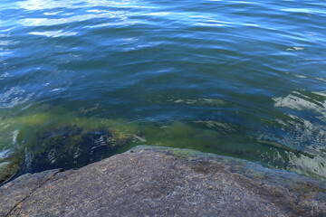 Swedish nature and summer day at a lake called Lejondalssjön. Upplands-Bro, Stockholm, Sweden.