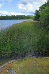 Swedish nature and summer day at a lake called Lejondalssjön. Upplands-Bro, Stockholm, Sweden.