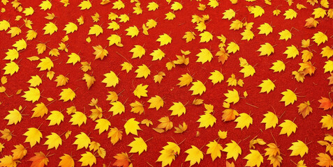 Colorful seasonal autumn background pattern, Vibrant carpet of fallen forest red, orange and yellow leaves.