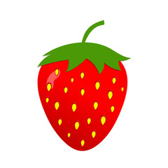 Strawberry isolated on white background. Red ripe strawberry. Vector illustration.