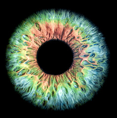 Macro shot of a colorful human iris with intricate details and mesmerizing patterns