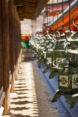 lanterns in japanese shrine