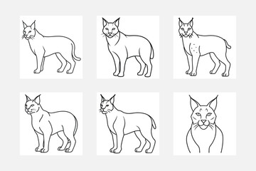 Lynx line art illustration set perfect for wall art
