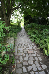 All&eacute;e pav&eacute;e dans un sous bois