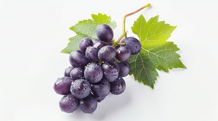 Fototapeta premium A bunch of ripe juicy purple grapes with green leaves, isolated on white background.