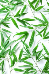 Obraz premium A collection of fresh green leaves arranged on a clean white surface, ideal for use in designs related to nature and simplicity