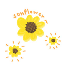 sunflower illustration