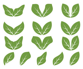 Leaves collection. Green leaves icon set. Vector illustration.