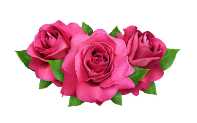 Red rose flowers and green leaves in a floral arrangement isolated on white or transparent...