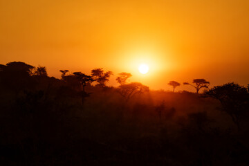 Sunset in the Savannah of Serengeti National Park