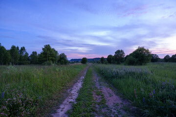 Twilight over grassy field with trees