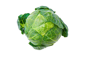 Fototapeta premium Green cabbage with water drops on the leaves, isolated on white background.